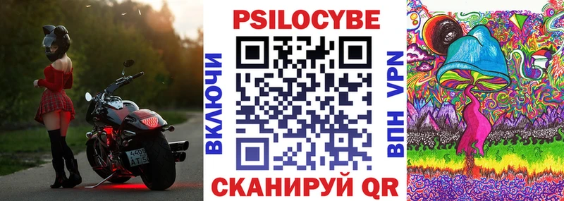 Псилоцибиновые грибы Psilocybe  Купить где  Белёв 